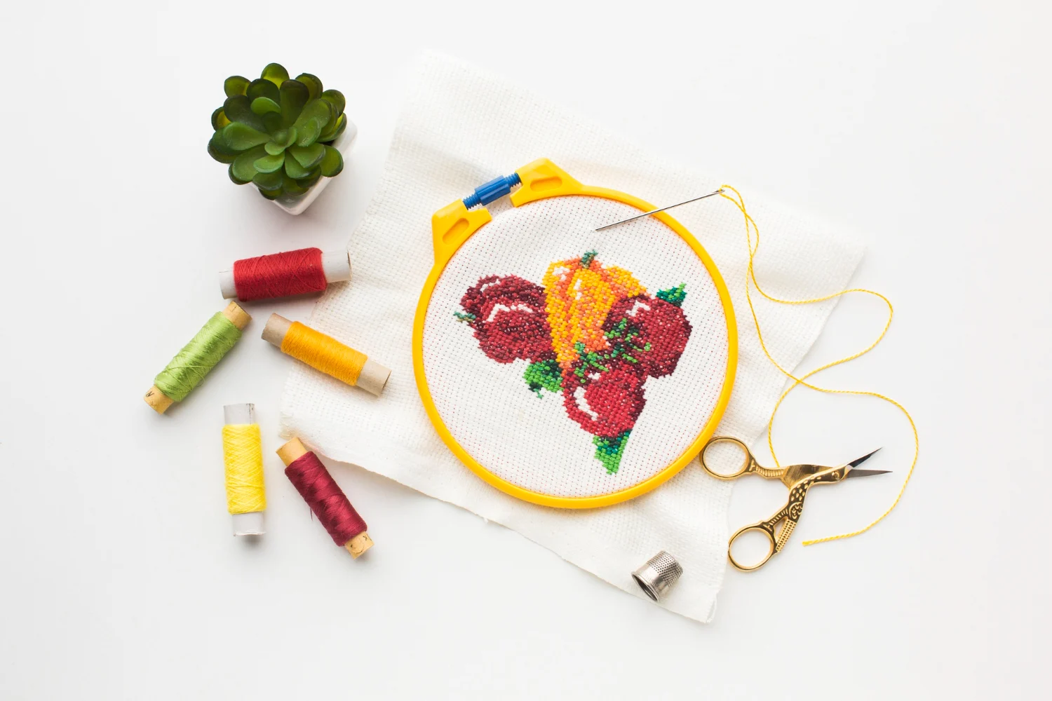 Embroidery & Surface Craft